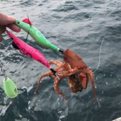 オクトパッシング