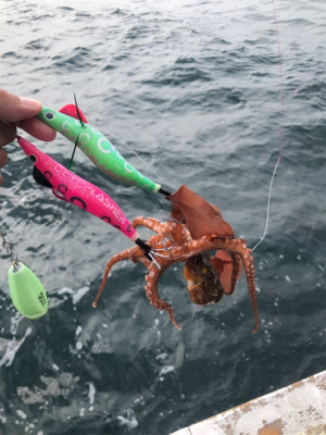 オクトパッシング