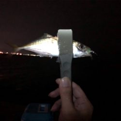 和歌山の友人と