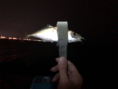 和歌山の友人と