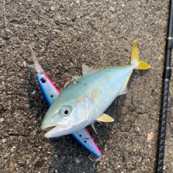 ちっちゃいなぁ、、、