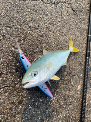 ちっちゃいなぁ、、、