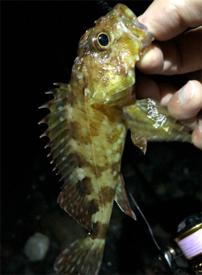 フロートロックフィッシュゲーム