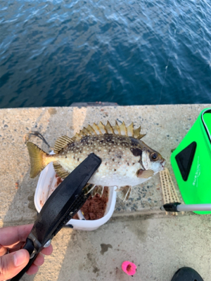 名前がわからない