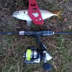 アジンガー1900〜2045