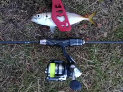 アジンガー1900〜2045