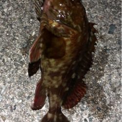 プラグロックゲーム