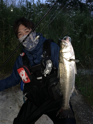 リバーシーバス