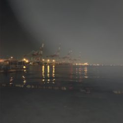 ジグサビキでサゴシ