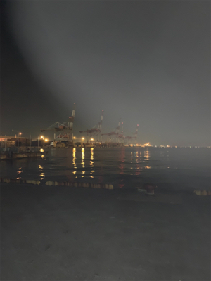 ジグサビキでサゴシ