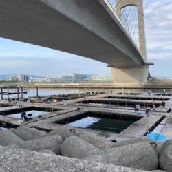 釣堀田尻初サンクスコース