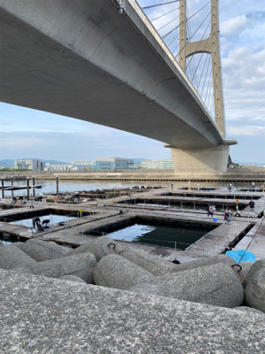 釣堀田尻初サンクスコース