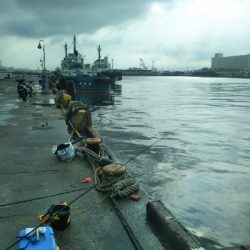 小雨のち豆アジのちツバス