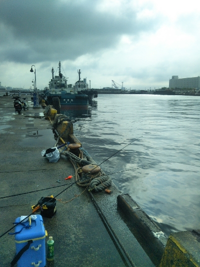 小雨のち豆アジのちツバス