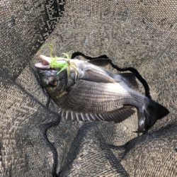 戦闘機が頭上を飛ぶ。チニング