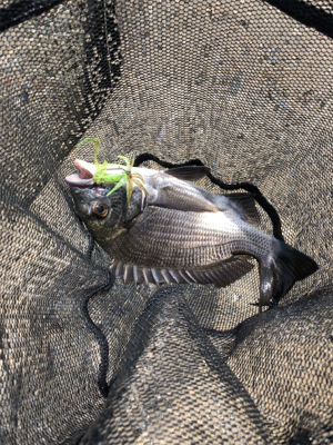 戦闘機が頭上を飛ぶ。チニング