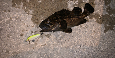 ６０分一本勝負！