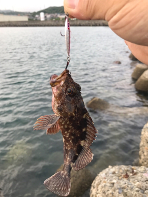 梅雨の中休み？