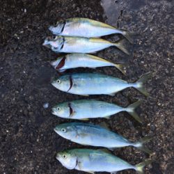 G20の為、仕事が休みになったので