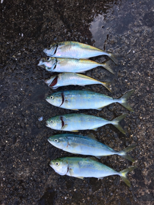 G20の為、仕事が休みになったので