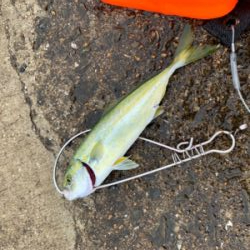 今日は渋め！でも収穫^_^