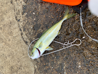 今日は渋め！でも収穫^_^