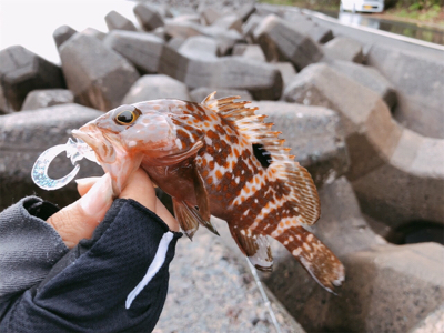 ゆる〜くライトロック！