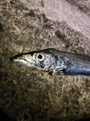 逃した魚は大きい？？