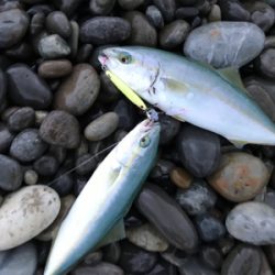 七里御浜ショアジギング