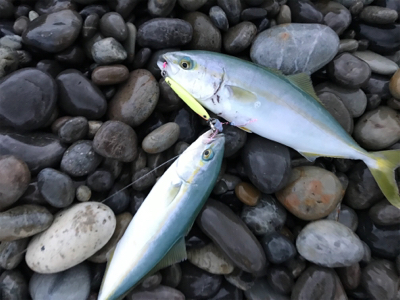 七里御浜ショアジギング