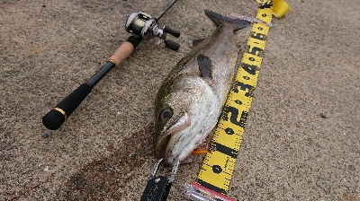 令和一の停泊船ゲーム