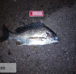 1年振りのいつもの所