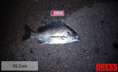 1年振りのいつもの所