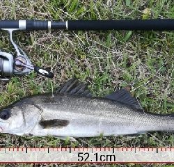 ソルトルアーマン1800〜2045