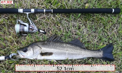 ソルトルアーマン1800〜2045