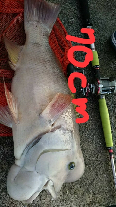 モンスターハンター釣行