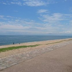 千代崎海岸でライトショアジギング