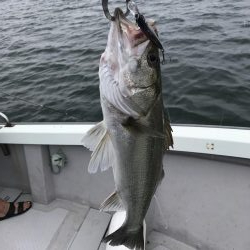 ボートシーバス