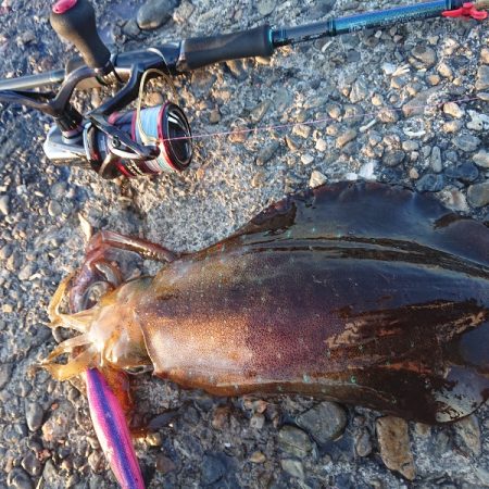 キロアップは遠い