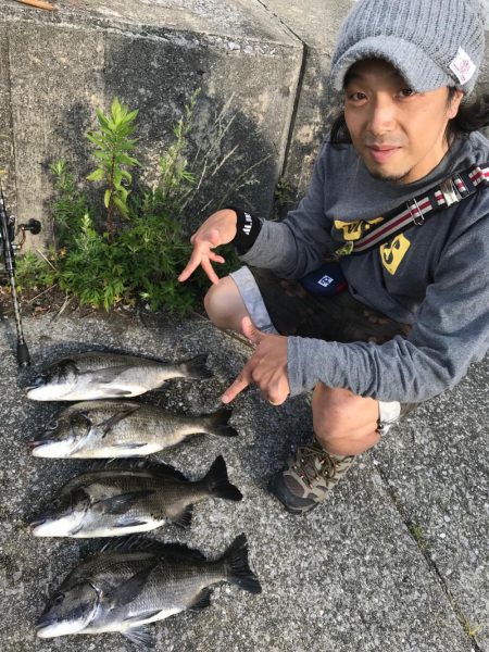 50チヌ4匹、釣れすぎ！腕いたい(笑)