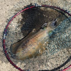 今週も行ってきました。