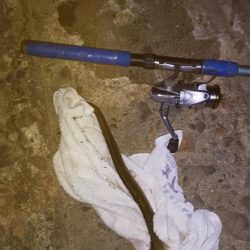 今年初うなぎ！