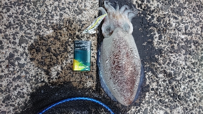 君じゃないよ･･･