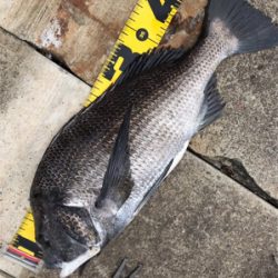 目印落とし込み特訓中