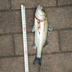 潮見さざなみ公園