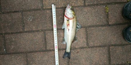 潮見さざなみ公園