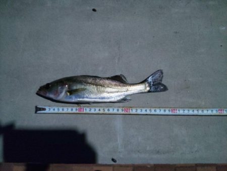 3目達成　~辰巳橋付近~