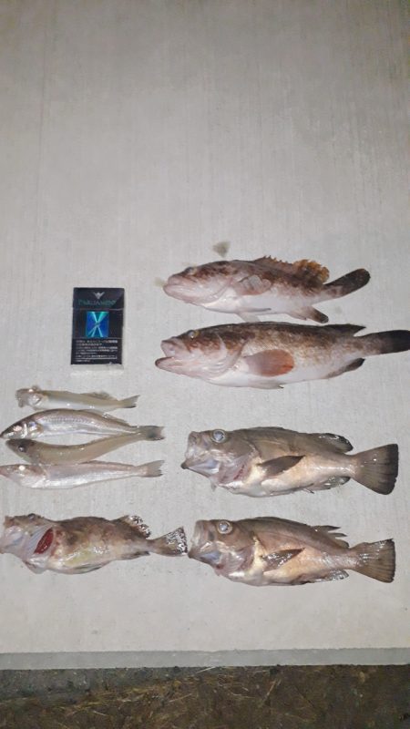 2日釣行1時間づつ