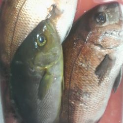 腕さえあれば・・・