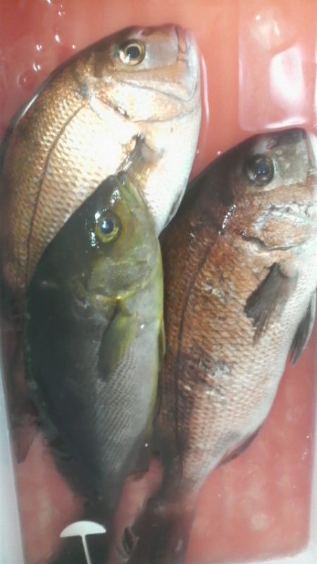 腕さえあれば・・・